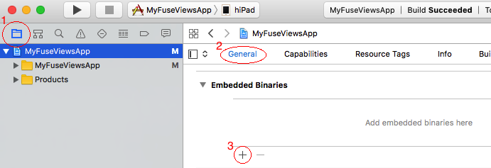 Embedded Binaries